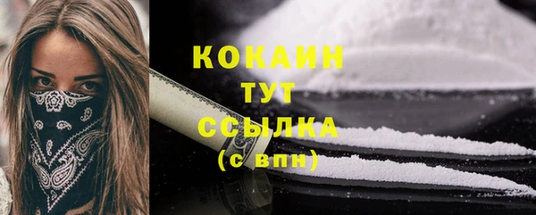сатива Верея