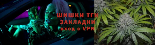 сатива Верея