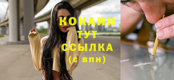 сатива Верея