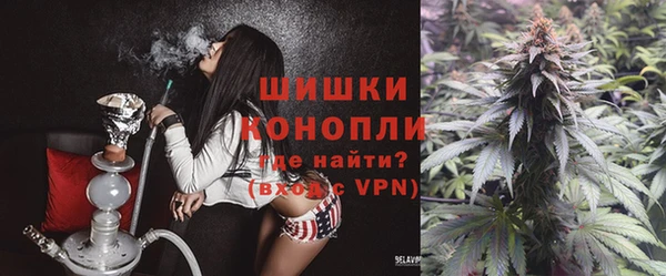 сатива Верея
